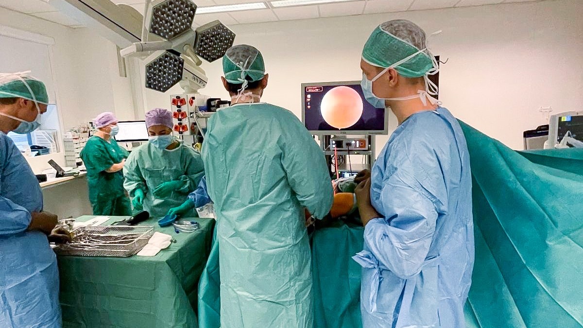 Maailmas esmakordne operatsioon: Eestis taastati patsiendi liigesekõhr innovaatilise implantaadiga thumbnail